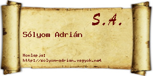 Sólyom Adrián névjegykártya